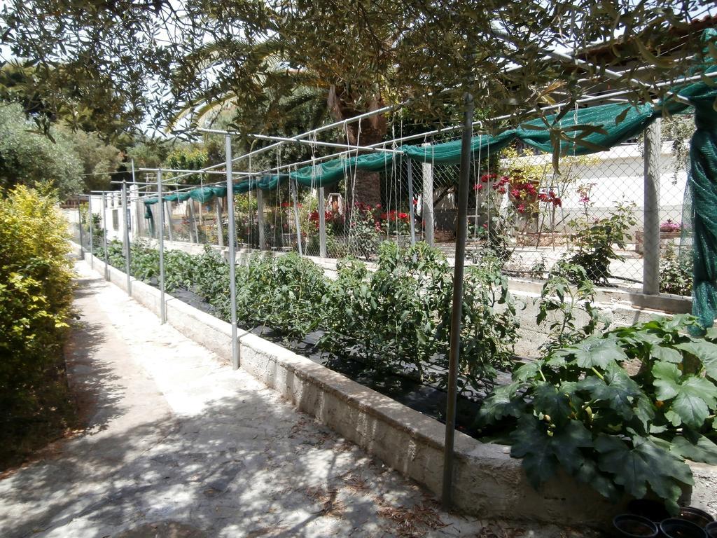 Olive House Apartamento Elia Nikitis Exterior foto