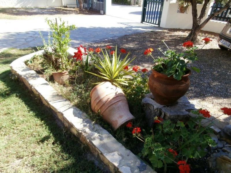 Olive House Apartamento Elia Nikitis Exterior foto