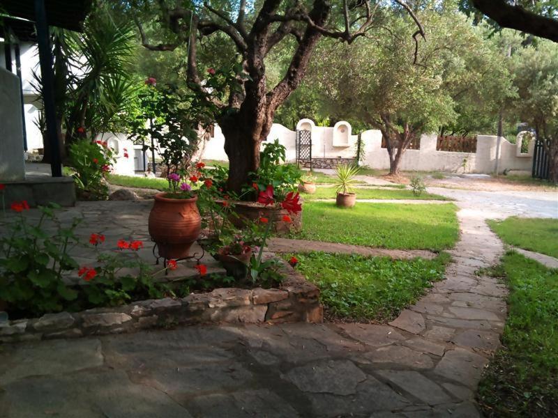 Olive House Apartamento Elia Nikitis Exterior foto